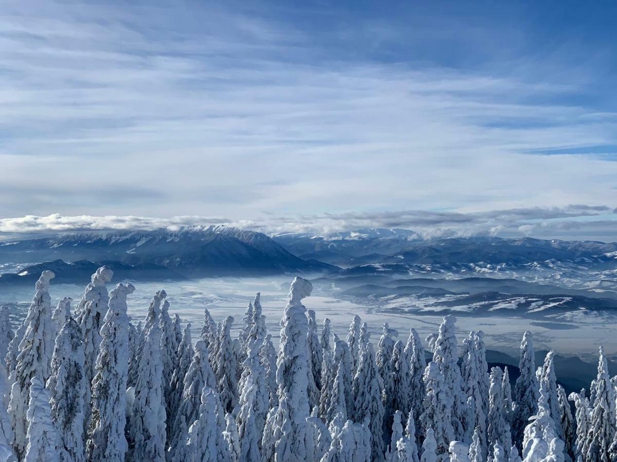 Silver Mountain ポイアナ・ブラショフ エクステリア 写真