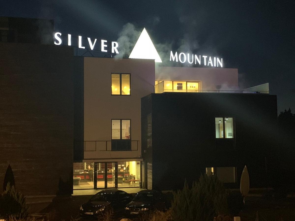 Silver Mountain ポイアナ・ブラショフ エクステリア 写真